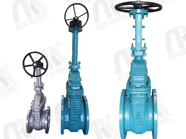 gate valve manufacturer